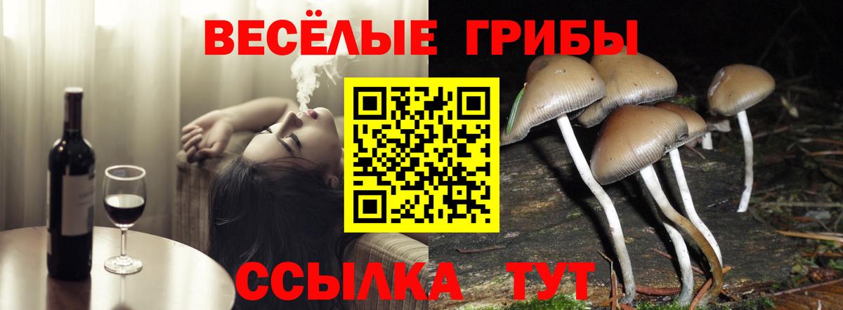 Псилоцибиновые грибы Cubensis  Вход с VPN  Псилоцибиновые грибы ЛСД  Уссурийск 